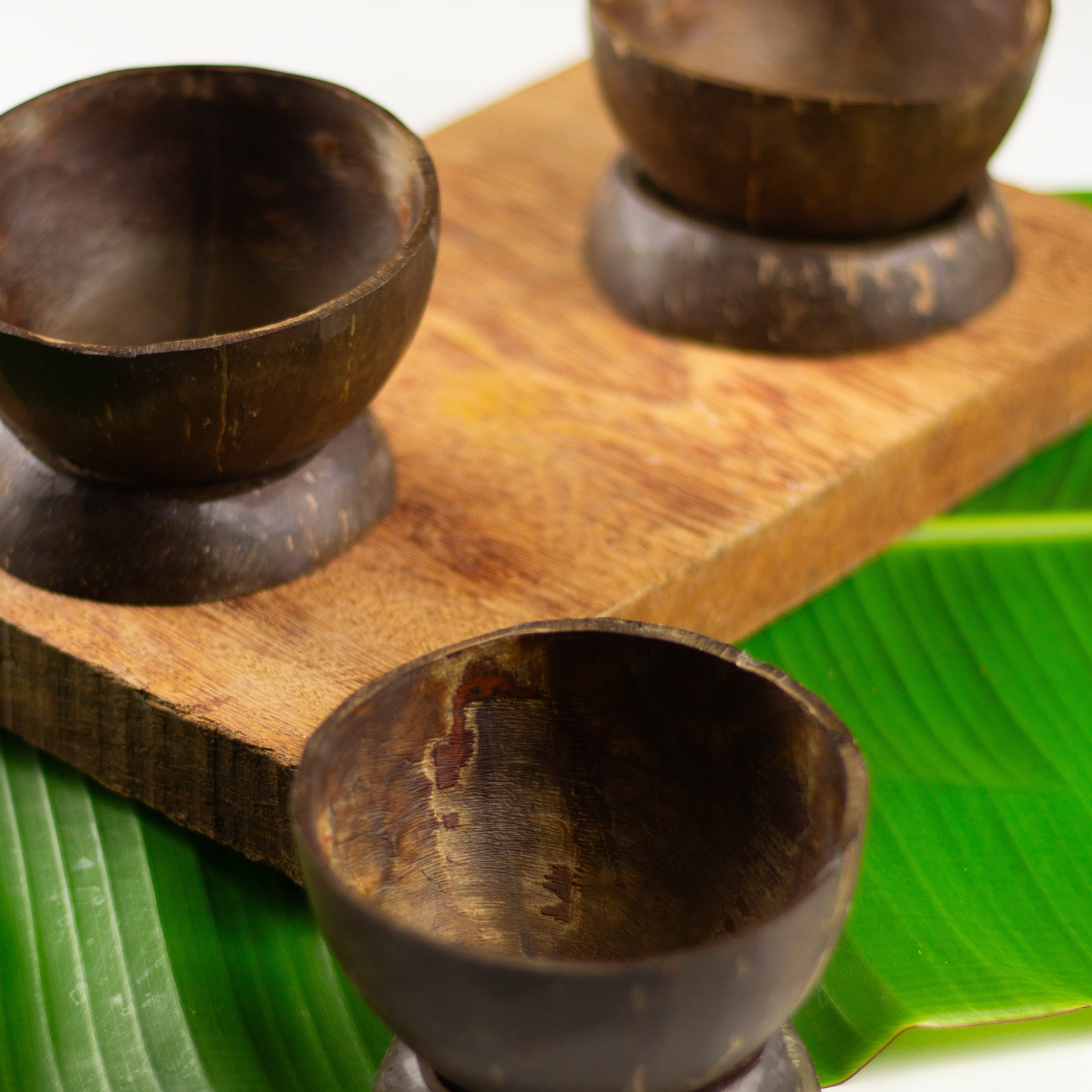 Set von 3 Kokosnuss-Schalen