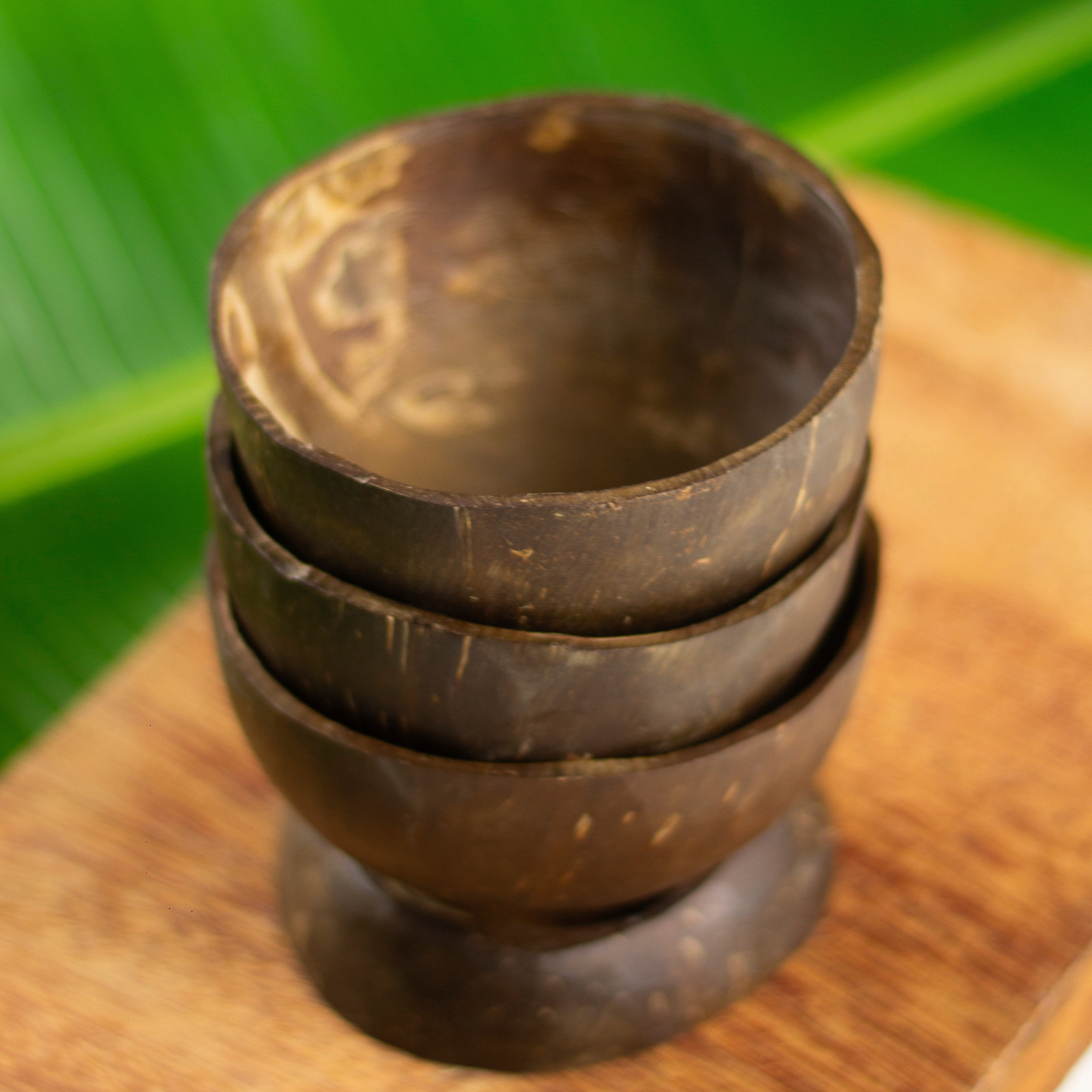 Set von 3 Kokosnuss-Schalen